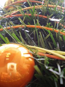 v�no�n� strome�ek na v�noce